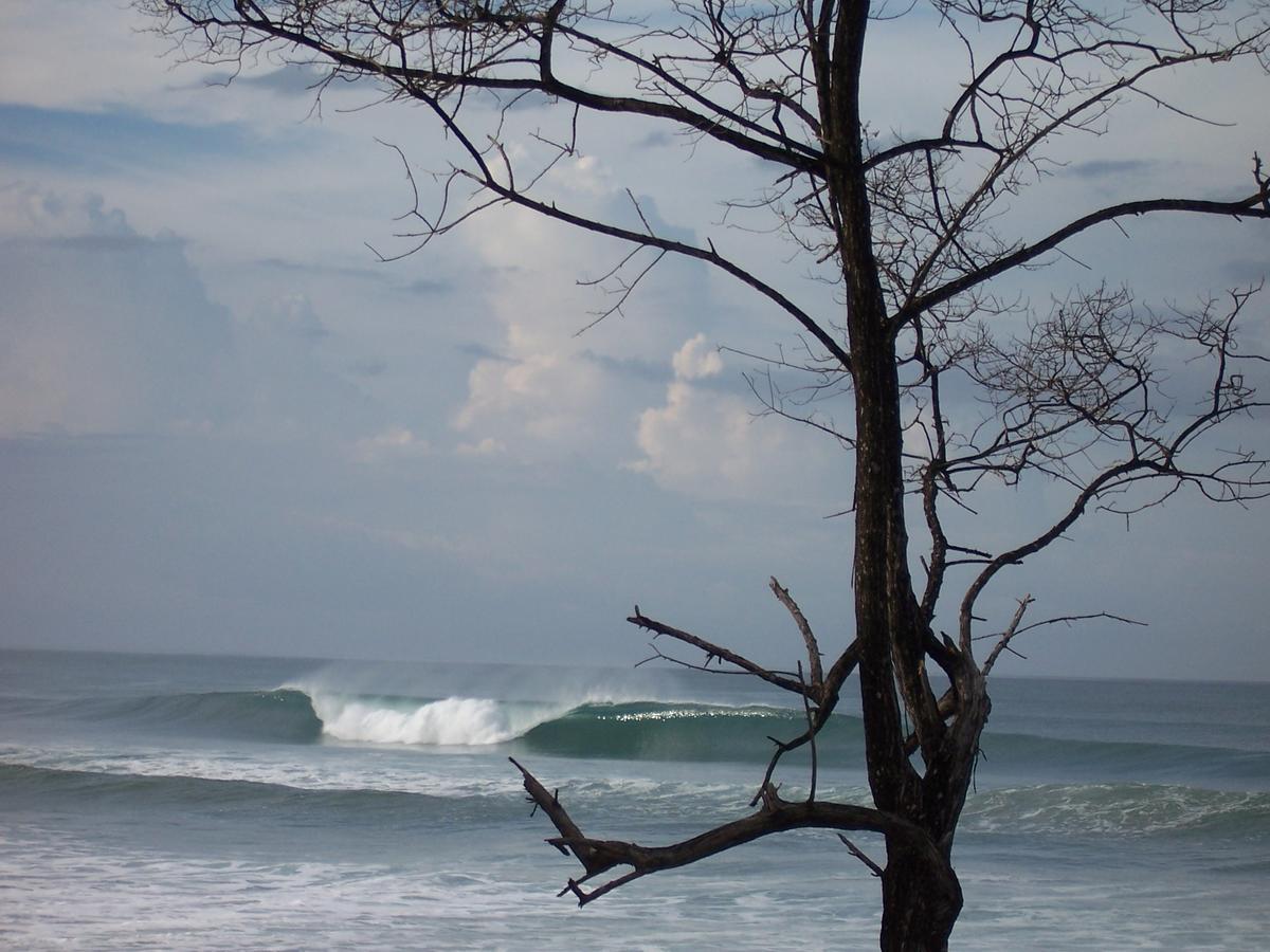 Santa Teresa Surf Vista Villas Playa Santa Teresa  エクステリア 写真