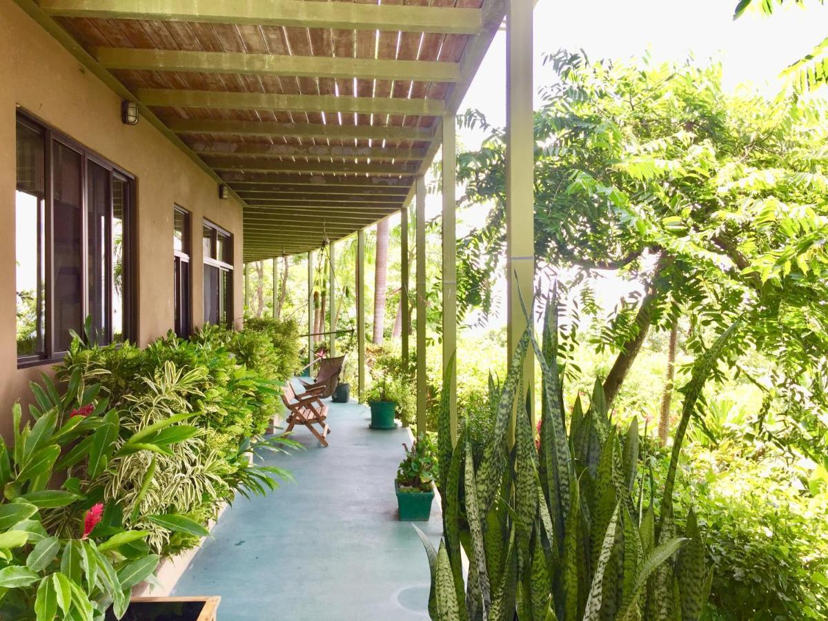 Santa Teresa Surf Vista Villas Playa Santa Teresa  エクステリア 写真